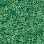textures/library/nature/clover1.jpg