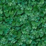 textures/library/nature/clover2.jpg