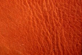 textures/library/skinandfur/leather2.jpg