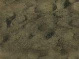 textures/library/stone/S_S_Sand_t.jpg