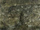 textures/library/stone/S_S_Stone3_t.jpg