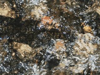 textures/library/water/Natur02m.JPG