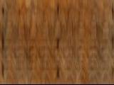 textures/library/wood/S_S_Bench2.jpg