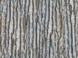 textures/library/wood/S_S_Wood03l.JPG