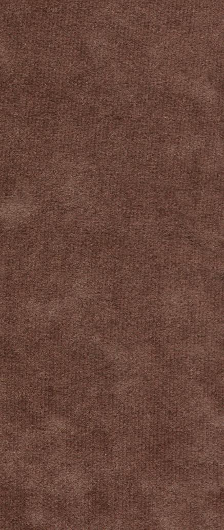 textures/library/fabric/Carpet2.jpg