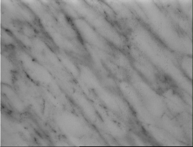 textures/library/marble/marbre2.jpg