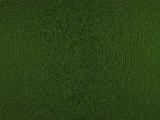 textures/library/organic/S_S_Green1.jpg