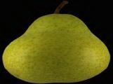 textures/library/organic/S_S_Pear.jpg