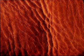 textures/library/skinandfur/leather1.jpg