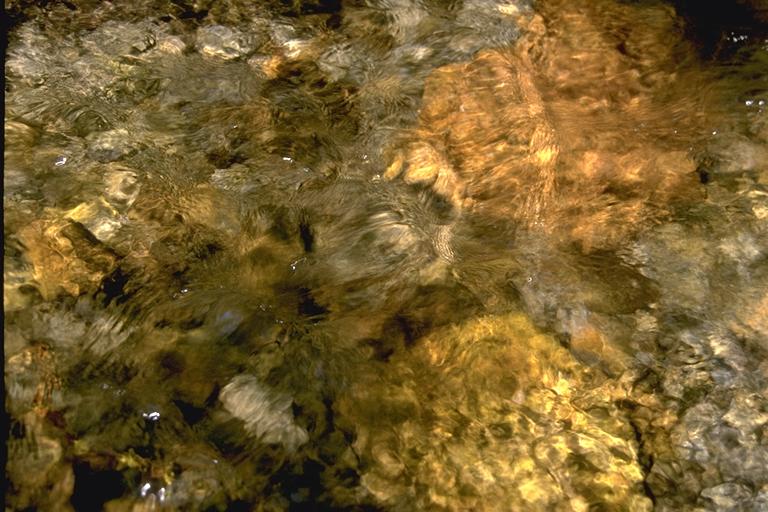 textures/library/water/IMG0061.jpg