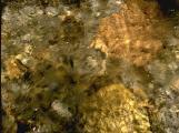 textures/library/water/S_S_IMG0061.jpg