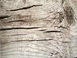 textures/library/wood/S_S_Oldpost.jpg